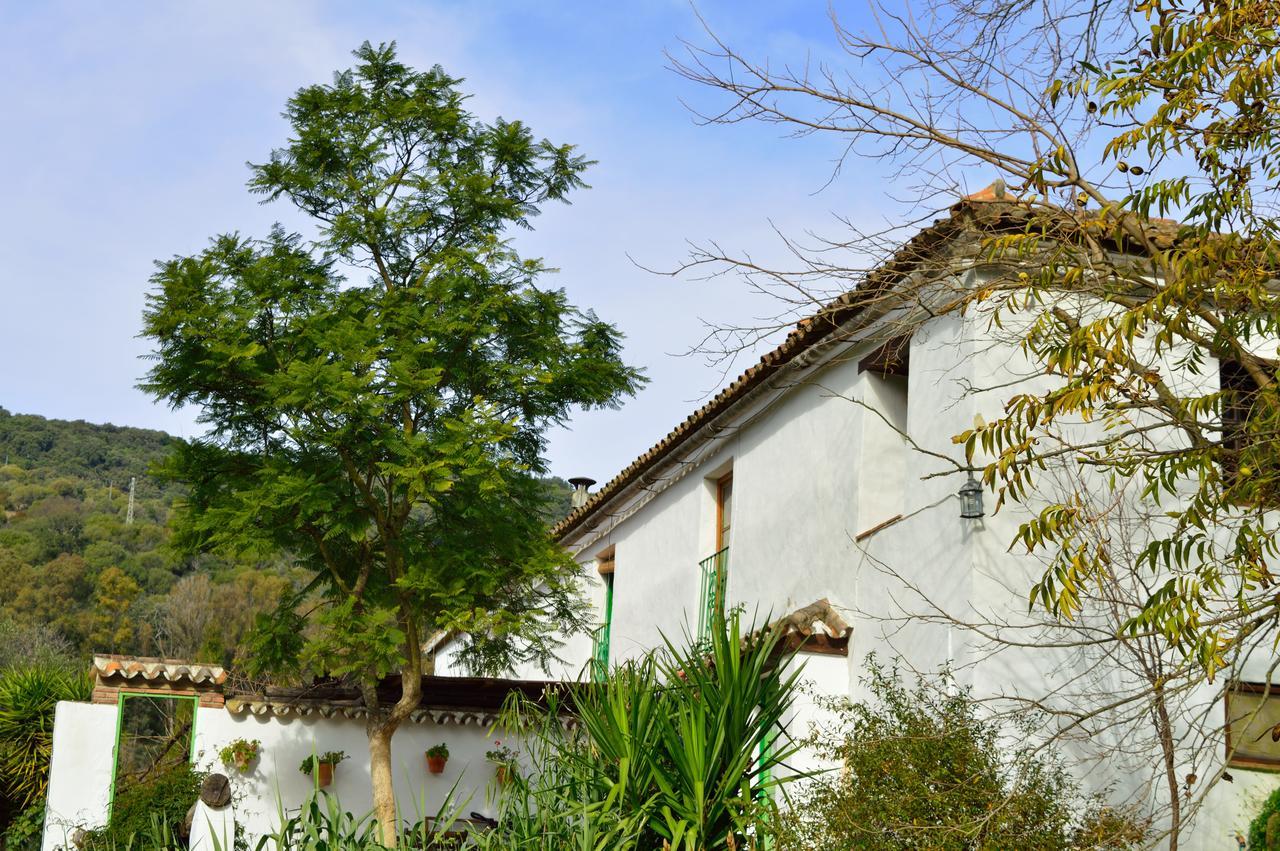 Casa Rural Ahora El Colmenar Exterior foto